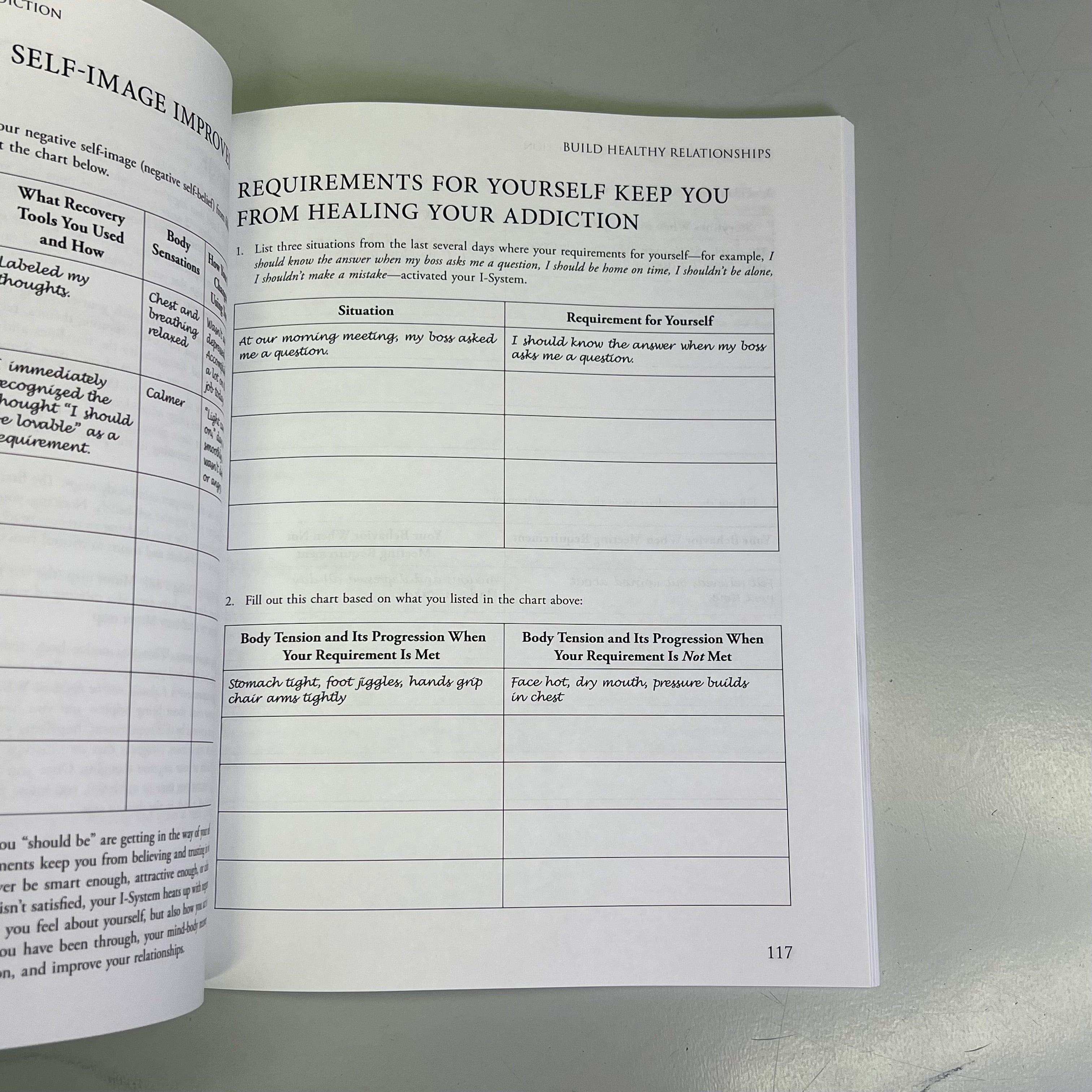 MIND-BODY WORKBOOK FOR ADDICTION Effective Tools Substance Abuse Recovery Book