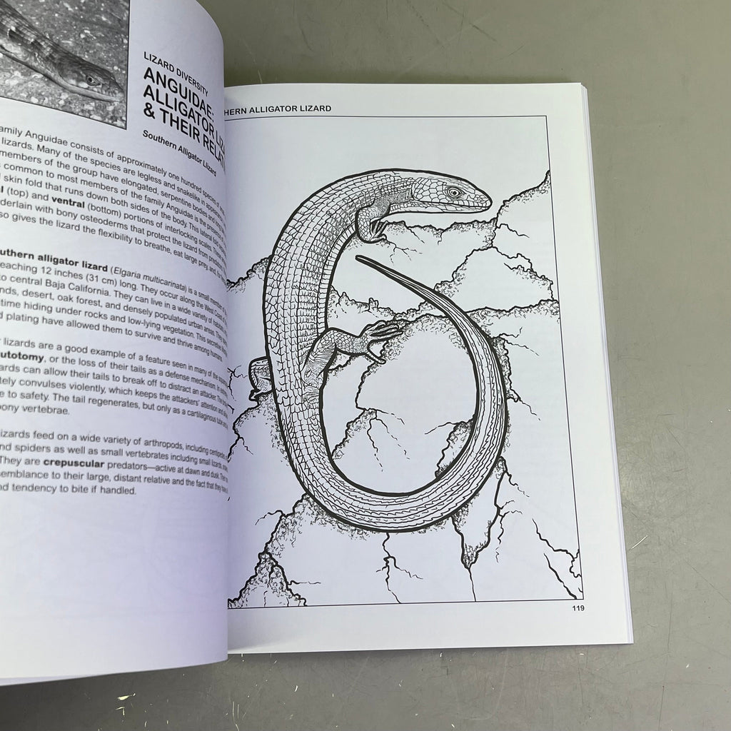 THE RETILES COLORING BOOK Science & Anatomy Paperback Coloring Activity Book