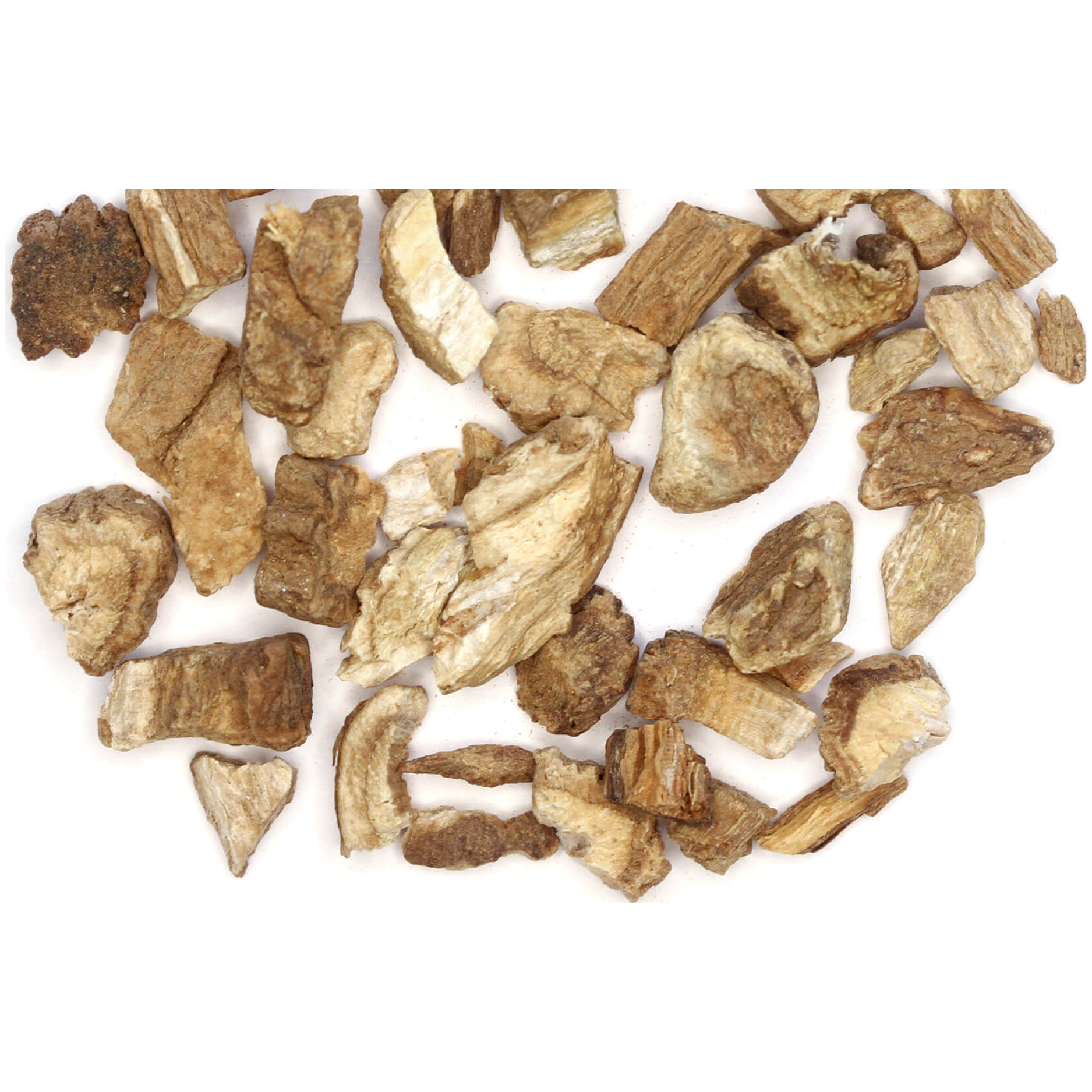 Burdock Inclusion