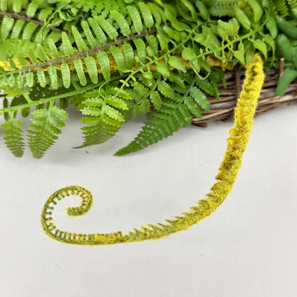 RAZ IMPORTS Oval Mixed Fern Wreath Home Decor 28" Green W4102231