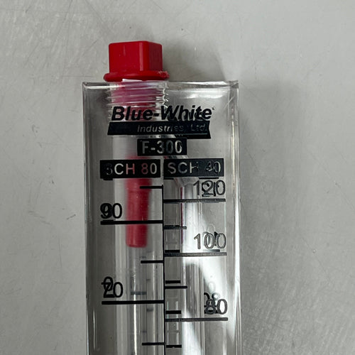 BLUE-WHITE Acrylic Flow Meter Stainless Steel Float Material 2.00" F302200P