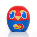 Kansas Jayhawks