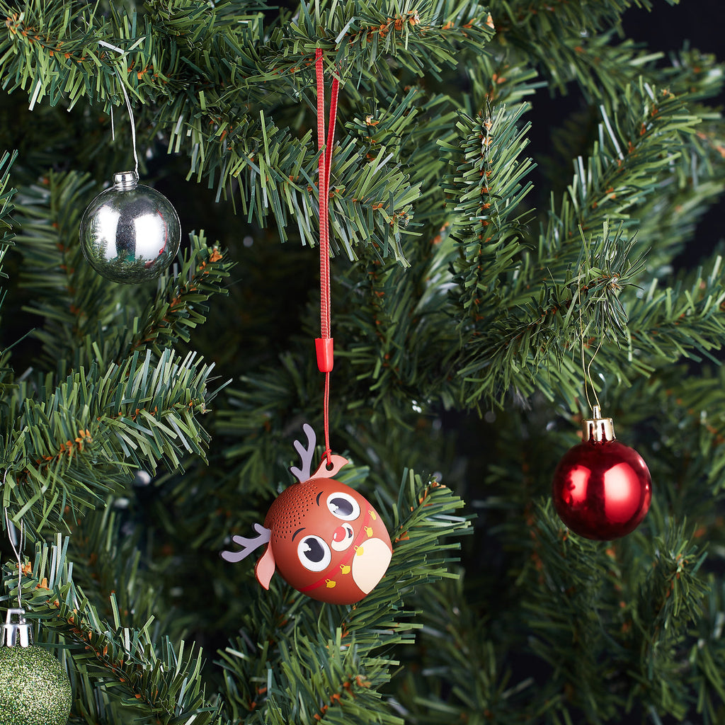Reindeer